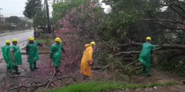 La tormenta complicó las actividades en Posadas: hay semáforos que no funcionan, cortes de luz y árboles caídos