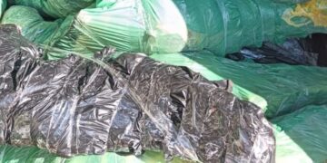 Interceptan contrabando de 3.000 kilos de carne con destino a Paraguay