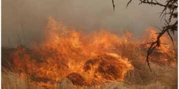 Incendios en San Luis y Córdoba: el fuego destruyó viviendas y varias personas tuvieron que ser evacuadas