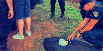 Detectaron cocaína y pedra en un control policial sobre la Ruta 19