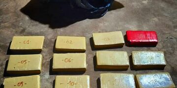 Incautaron marihuana valuada en casi 3 millones de pesos en Candelaria