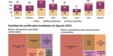 Actividad comercial: la venta al por menor, fue el rubro más registrado durante agosto