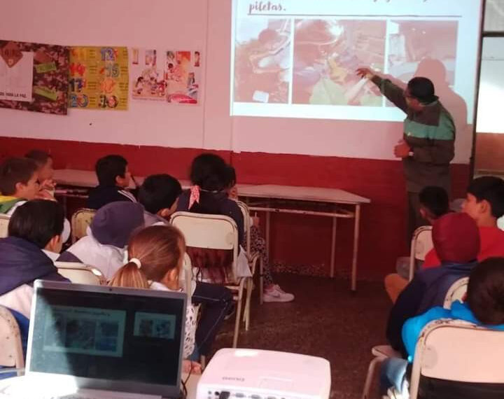 Más de 6 mil personas participaron de las actividades para evitar la propagación de enfermedades vectoriales
