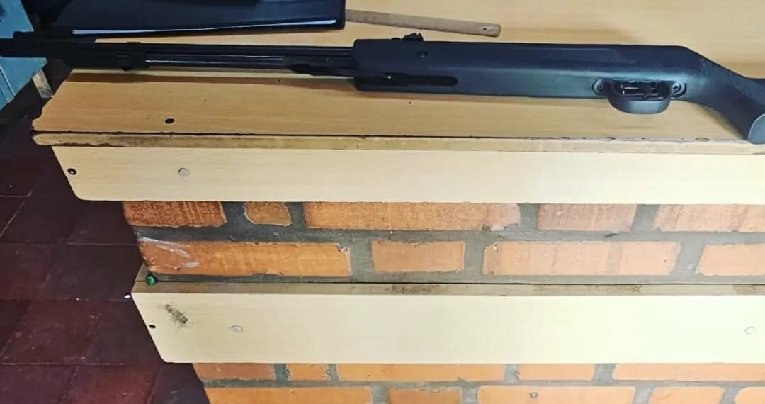 Arrestaron a un hombre por matar a un mono Carayá