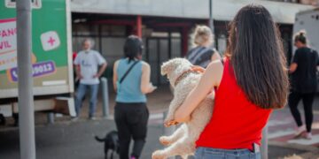 Salud de las mascotas, dónde serán los operativos del IMuSA esta semana
