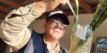Con más de 6 mil casas relevadas en Posadas, finalizó el operativo de control del Aedes y se esperan los resultados