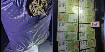 Secuestran en Aristóbulo del Valle marihuana valuada en más de dos millones de pesos