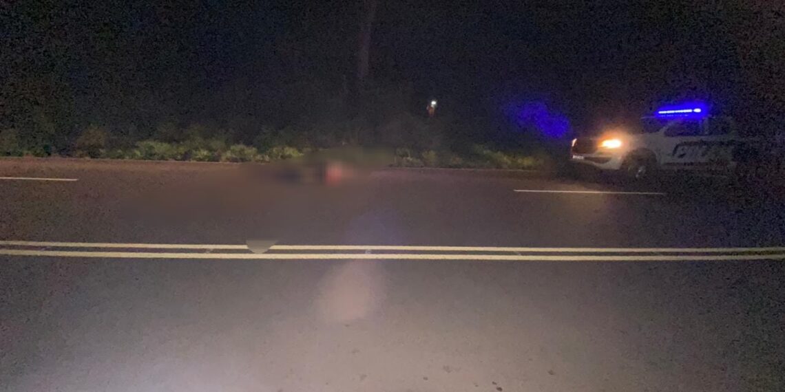 Falleció un hombre en un siniestro vial y la Policía busca el vehículo que se dio a la fuga