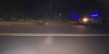 Falleció un hombre en un siniestro vial y la Policía busca el vehículo que se dio a la fuga