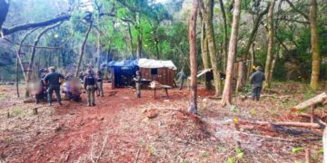 Desmantelaron un campamento donde realizaban apeo ilegal: hay tres detenidos