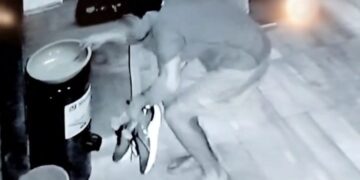 Detuvieron a un hombre que mientras robaba estaba siendo captado por cámaras de seguridad