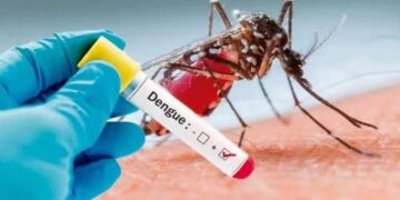 Llega al país la vacuna contra el dengue y el Gobierno define la estrategia sanitaria