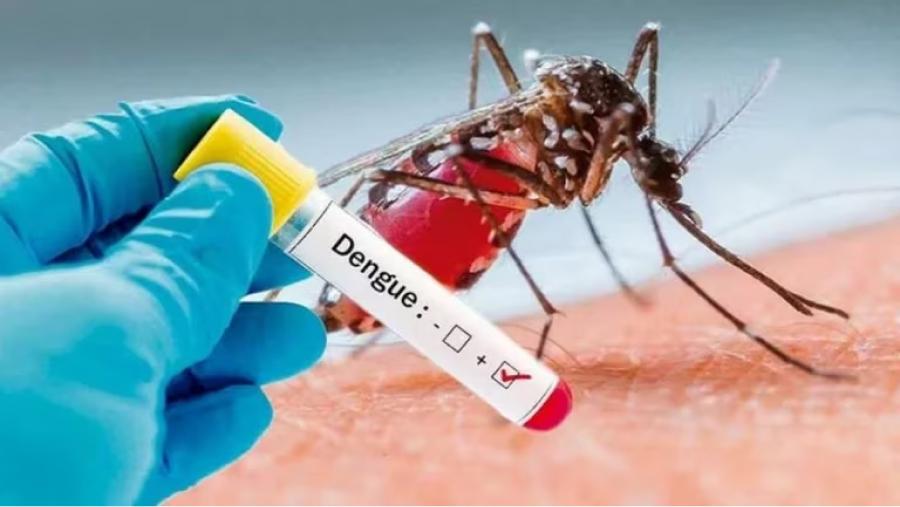 Llega al país la vacuna contra el dengue y el Gobierno define la estrategia sanitaria