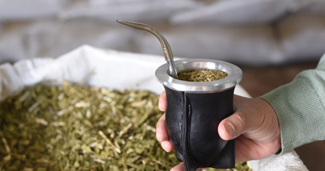 Al cierre de agosto, el consumo de yerba mate superó los 213 millones de kilos entre mercado interno y exportaciones
