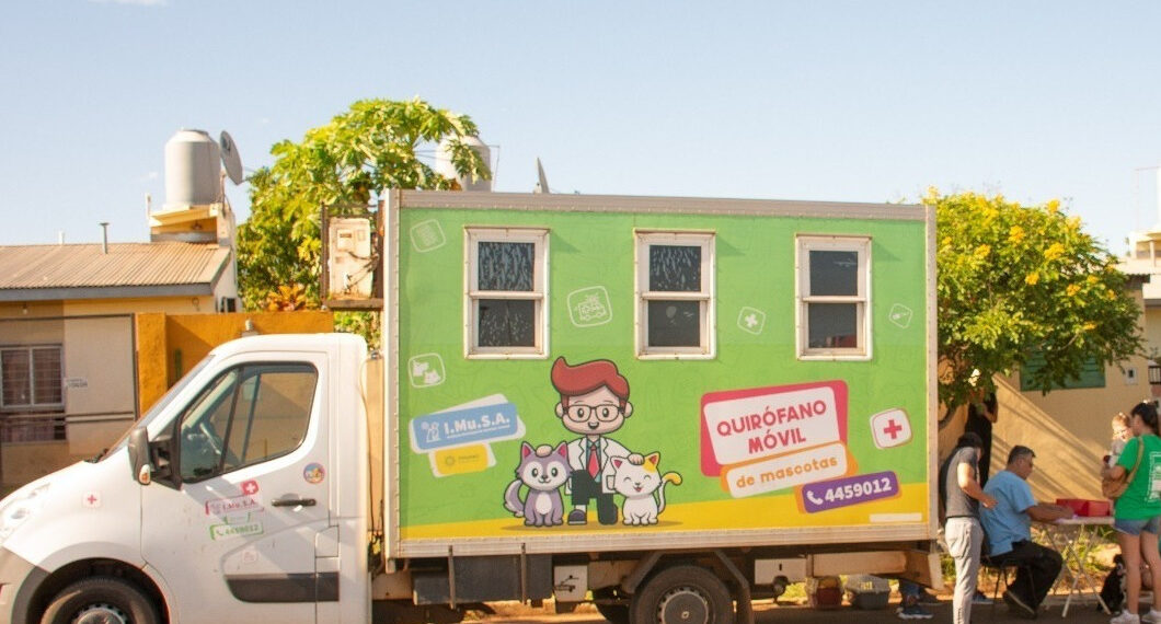 Sanidad animal: 10 mil mascotas fueron esterilizadas por el IMuSA en lo que va del año