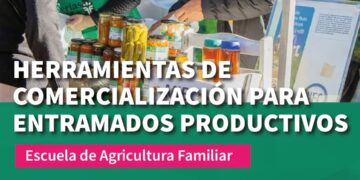 Herramientas de comercialización para entramados productivos