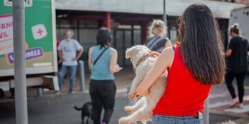 El IMuSA descentraliza servicios veterinarios para el bienestar de las mascotas