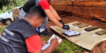 Arrestaron a un presunto distribuidor de drogas y decomisaron casi 24 kilos de marihuana