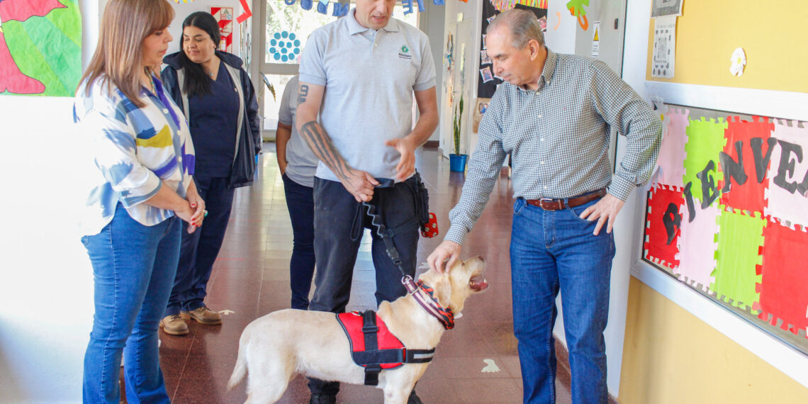 Terapia asistida con perros, una nueva experiencia que incorpora la Secretaría de Salud