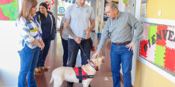 Terapia asistida con perros, una nueva experiencia que incorpora la Secretaría de Salud