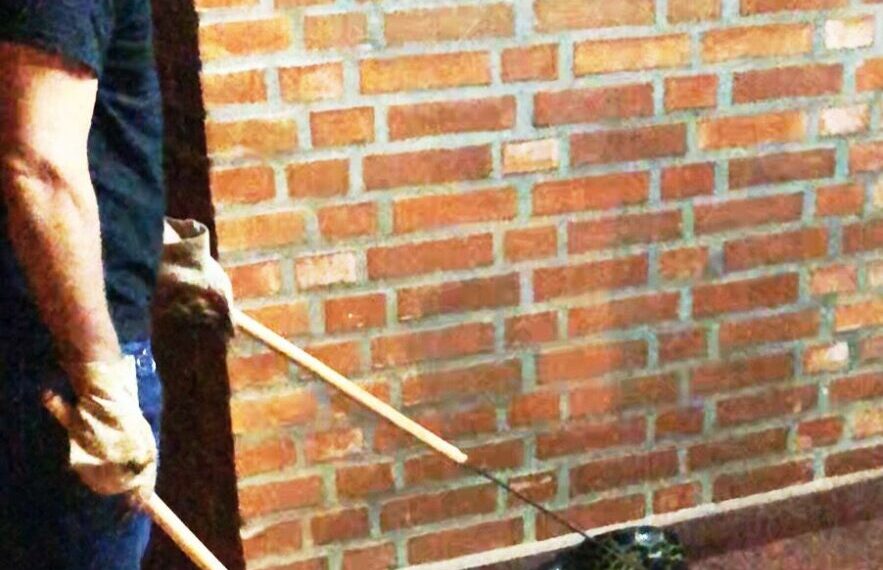 Rescataron a varios animales silvestres en diferentes municipios de la provincia
