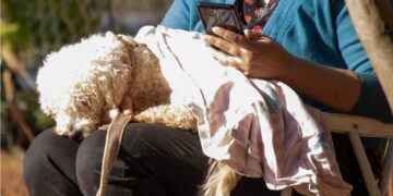 Tenencia responsable: el IMuSA lleva servicios de sanidad animal a los barrios
