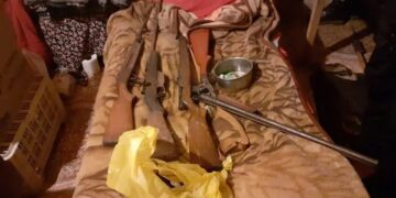 Detuvieron a un hombre acusado de matar a un perro de un escopetazo