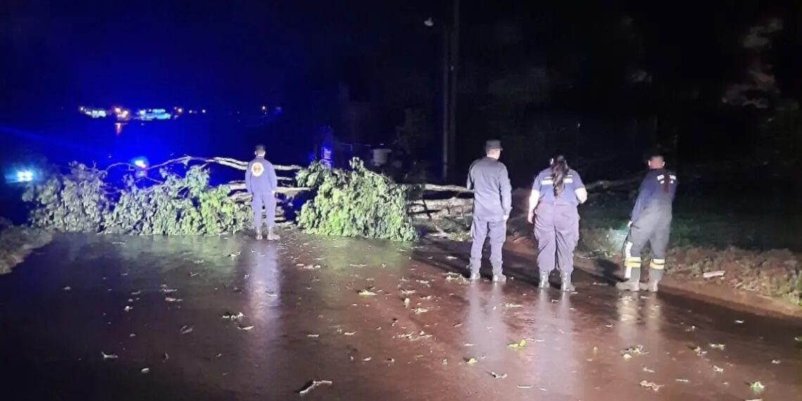 Fuerte temporal afectó varias localidades de la zona centro