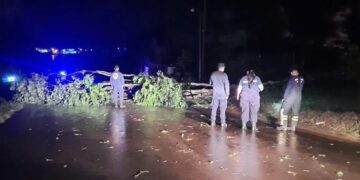 Fuerte temporal afectó varias localidades de la zona centro