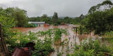 El Soberbio: Más de 150 familias ya fueron evacuadas por la crecida río Uruguay