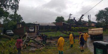 El municipio trabaja en la atención frente a los daños producidos por el violento temporal
