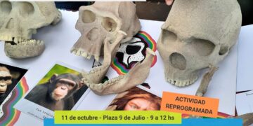 Exactas propone una kermés por la Semana de las Ciencias de la Tierra y del Espacio