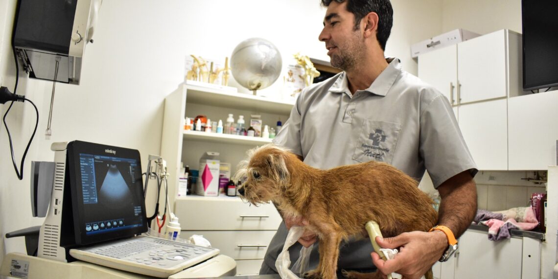 Con las enfermedades subtropicales como eje, el sector veterinario se reúne en Iguazú el 10 y 11 de noviembre