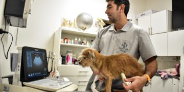 Con las enfermedades subtropicales como eje, el sector veterinario se reúne en Iguazú el 10 y 11 de noviembre