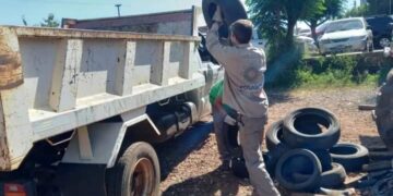 Descacharrización y concientización: estrategias claves en la prevención de enfermedades