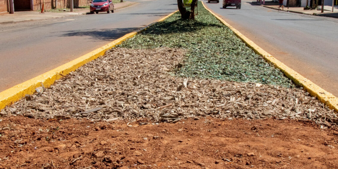 Mediante el proceso de chipeado, se recuperaron más de 40 mil metros cuadrados de suelo