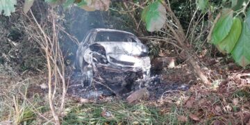 Dos fallecidos y dos heridos tras un siniestro vial en Piñalito Norte