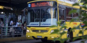 Balotaje: En Misiones y en todo el país hoy hay transporte gratuito