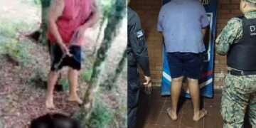 Detuvieron al hombre que mató a un mono carayá en Wanda
