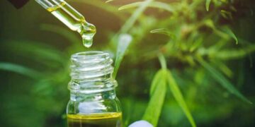 La ANMAT autorizó la comercialización del primer aceite de cannabis producido en Argentina
