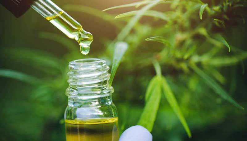 La ANMAT autorizó la comercialización del primer aceite de cannabis producido en Argentina