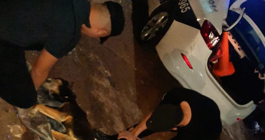 Agentes policiales rescataron a un perro que fue arrojado en un contenedor de basura