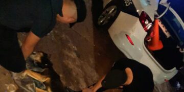 Agentes policiales rescataron a un perro que fue arrojado en un contenedor de basura