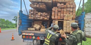 Detectan más de seis toneladas de marihuana en un camión que trasladaba madera cerca del peaje de Santa Ana