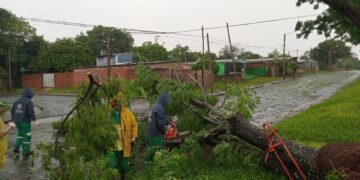 El Municipio trabaja en la atención tras el intenso temporal