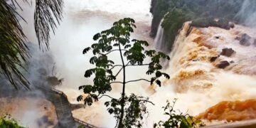 Cataratas del Iguazú: el Parque Nacional reabre este viernes con impresionantes paisajes después de la crecida