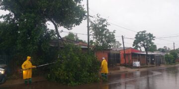 Frente a las lluvias, se despliegan los equipos de trabajo