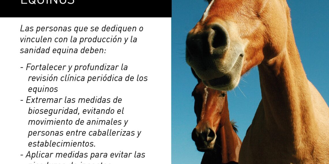 Se confirmaron casos positivos de encefalomielitis equina en Corrientes y Santa Fe
