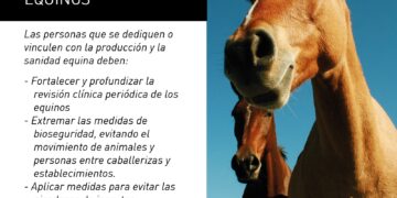 Se confirmaron casos positivos de encefalomielitis equina en Corrientes y Santa Fe