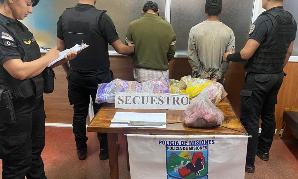Dos detenidos por robar y faenar la vaca de un colono